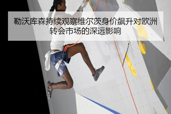 勒沃库森持续观察维尔茨身价飙升对欧洲转会市场的深远影响 | kaiyun